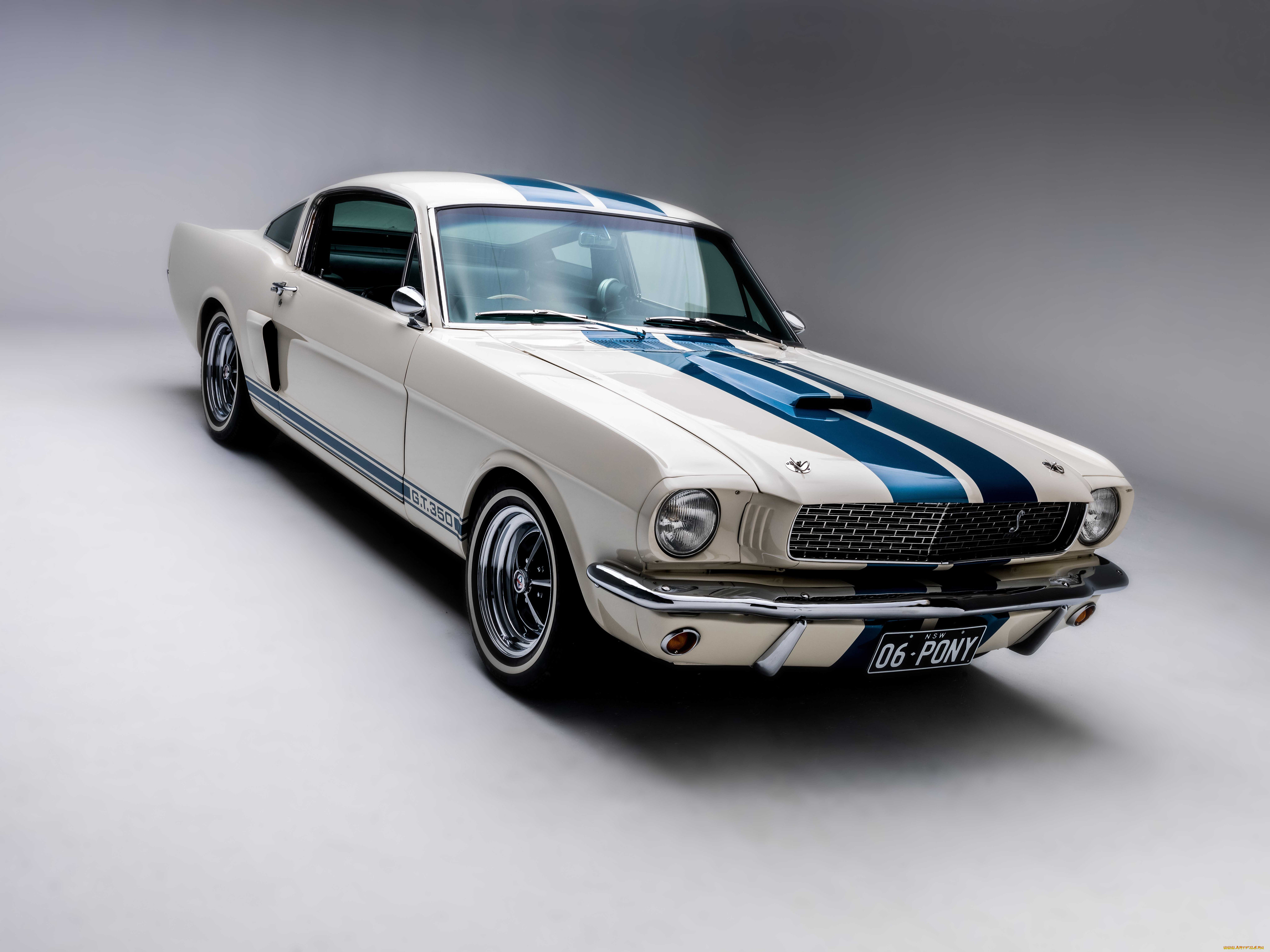 , mustang
